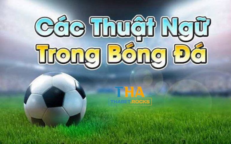 Một số thuật ngữ phổ biến khác trong cá cược bóng đá