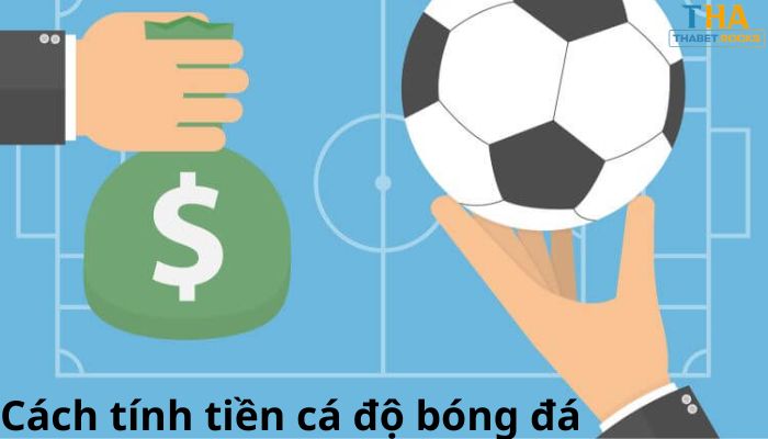 cách tính tiền cá độ bóng đá